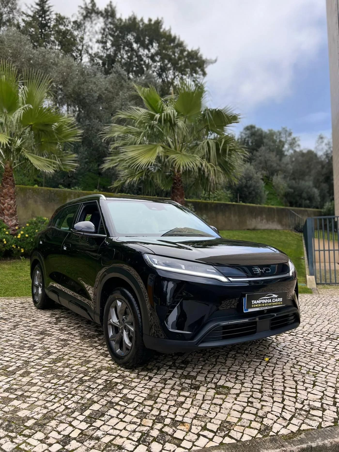 BYD Atto 2